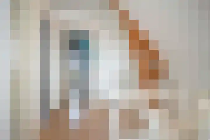 Jagersweg 23 Apeldoorn thumbnail 29
