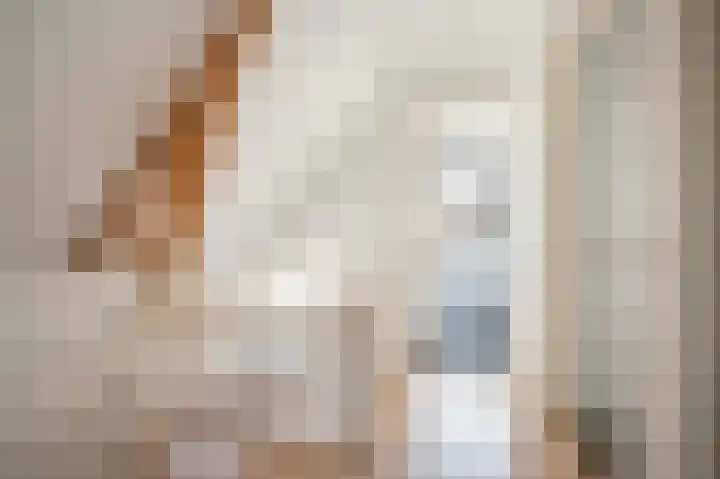 Jagersweg 23 Apeldoorn thumbnail 30