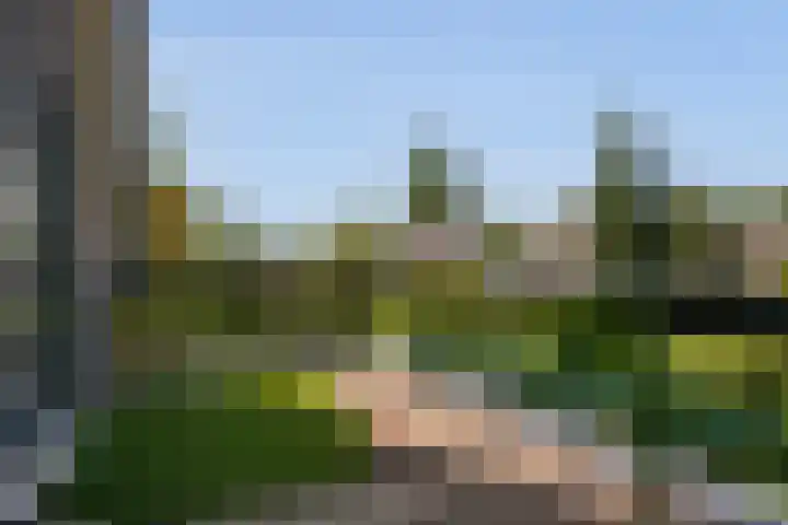 Jagersweg 23 Apeldoorn thumbnail 33