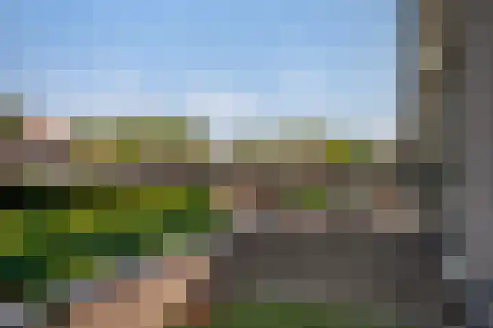 Jagersweg 23 Apeldoorn thumbnail 34