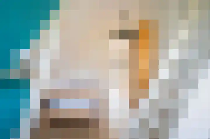 Jagersweg 23 Apeldoorn thumbnail 36