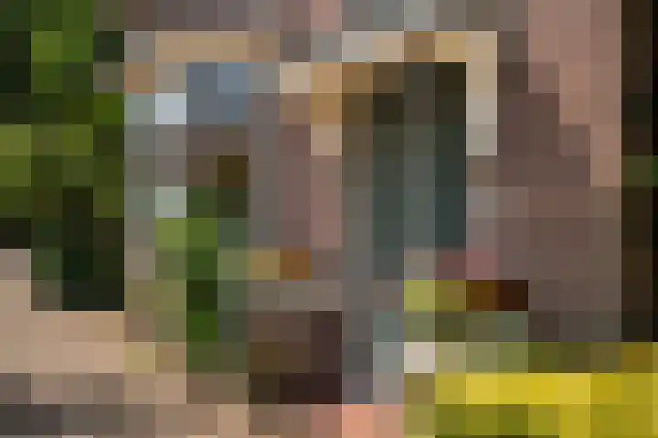 Jagersweg 23 Apeldoorn thumbnail 43