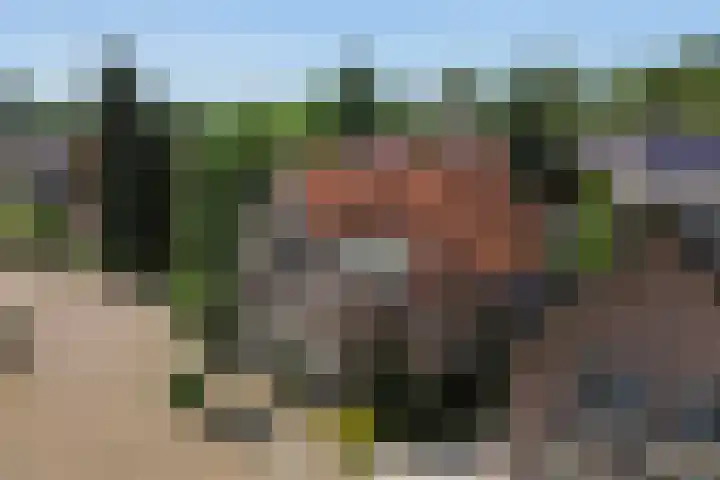 Jagersweg 23 Apeldoorn thumbnail 48