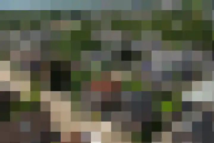 Jagersweg 23 Apeldoorn thumbnail 49