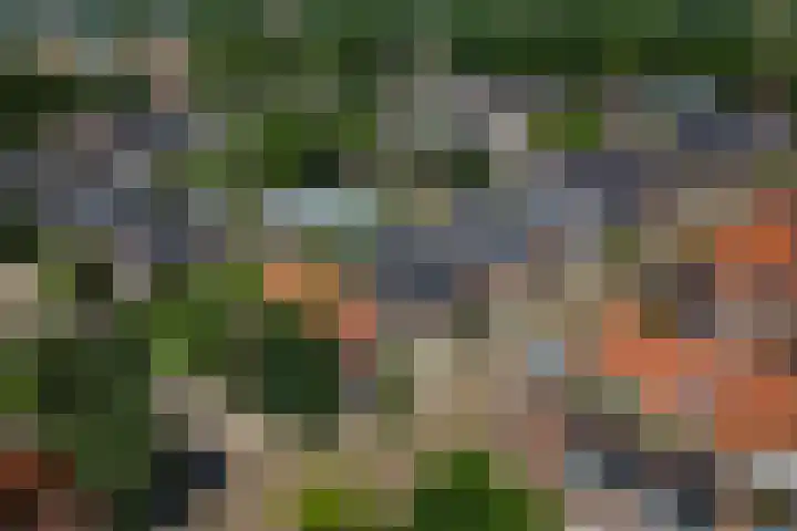 Jagersweg 23 Apeldoorn thumbnail 50
