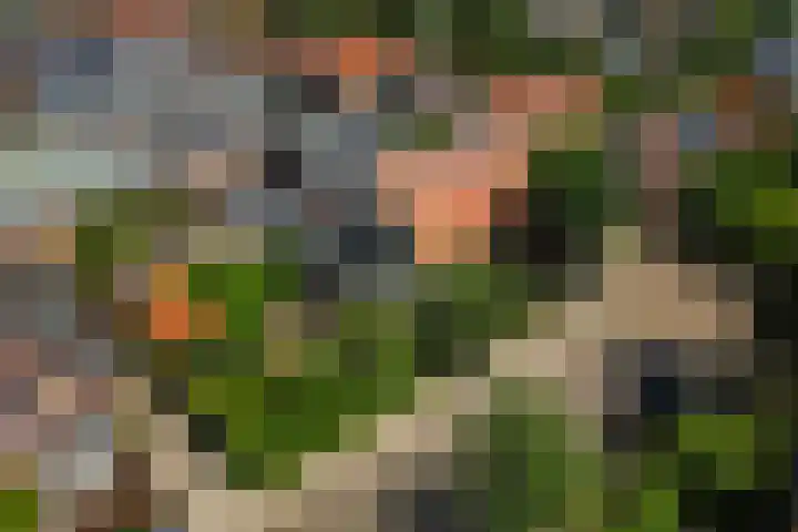 Jagersweg 23 Apeldoorn thumbnail 51