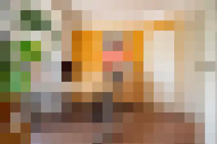 Jagersweg 23 Apeldoorn thumbnail 8