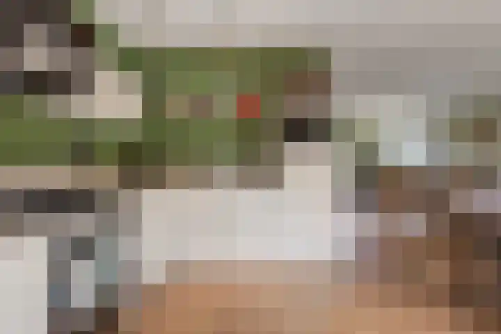 Jagersweg 3 Apeldoorn thumbnail 10