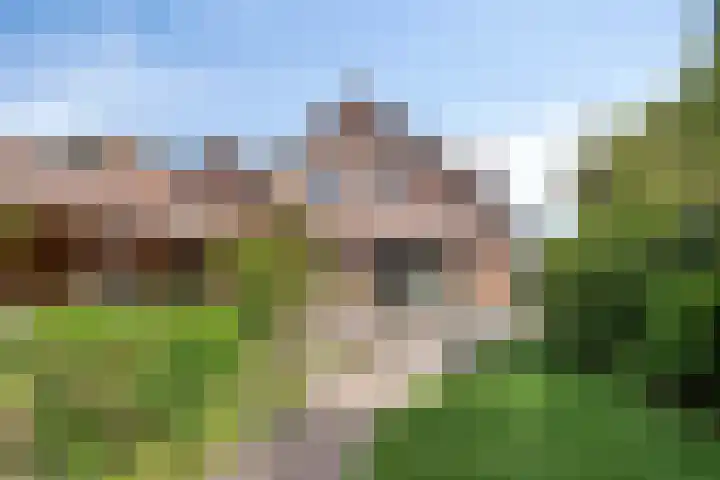 Jagersweg 3 Apeldoorn thumbnail 13
