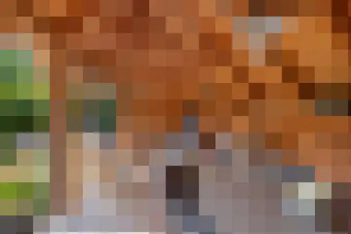 Jagersweg 3 Apeldoorn thumbnail 16