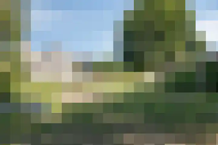 Jagersweg 3 Apeldoorn thumbnail 30