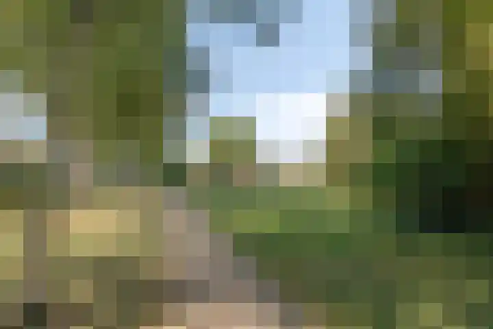 Jagersweg 3 Apeldoorn thumbnail 31