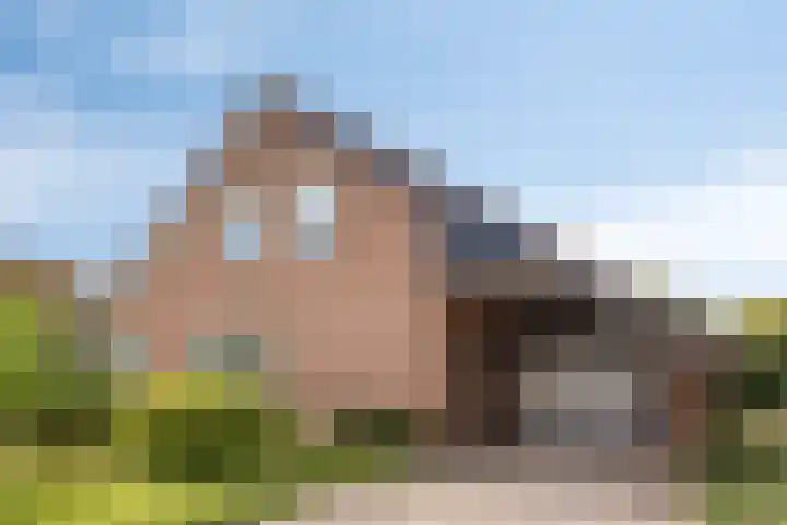 Jagersweg 3 Apeldoorn thumbnail 4