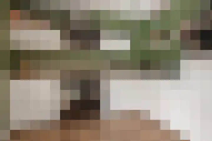 Jagersweg 3 Apeldoorn thumbnail 9