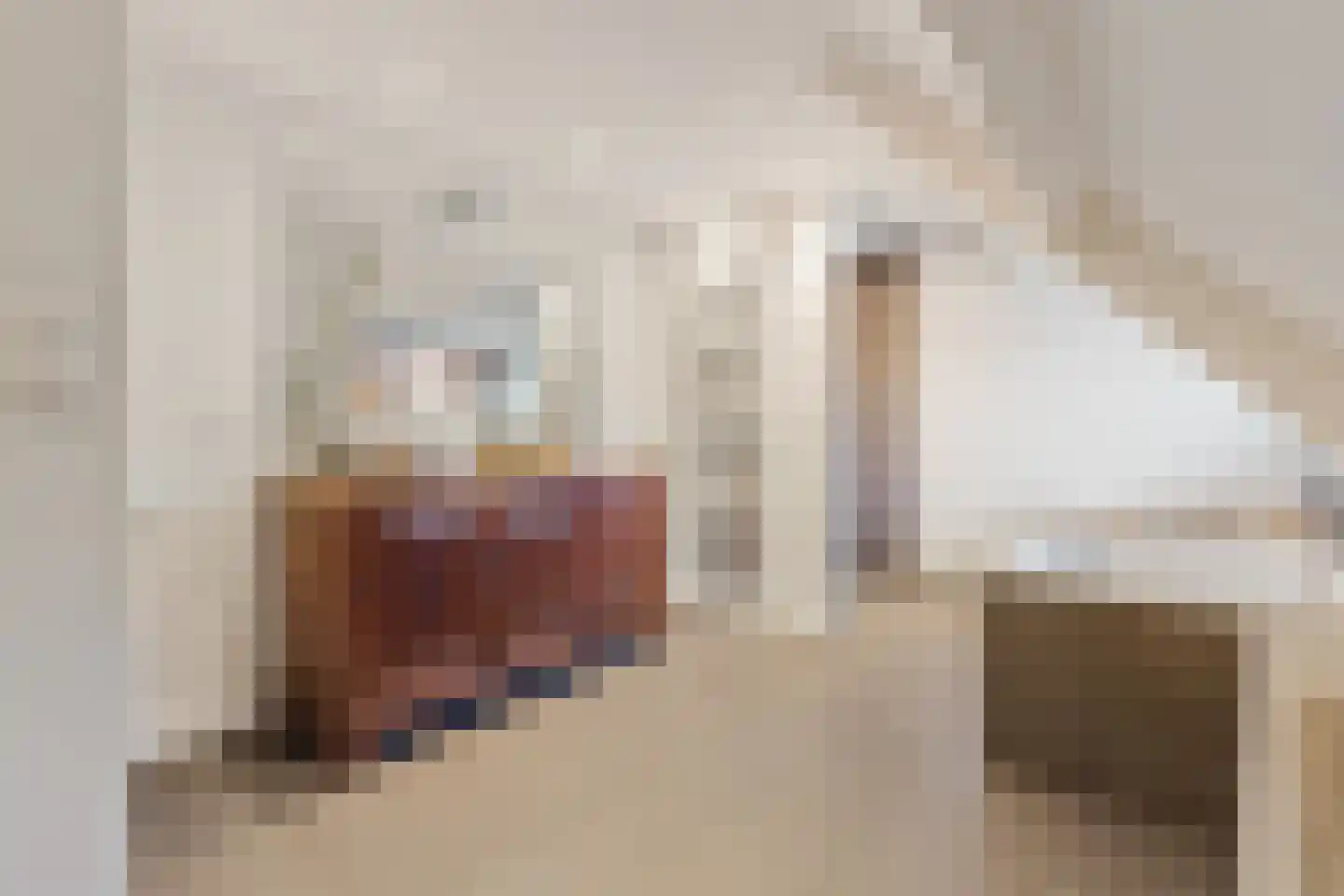 Jagersweg 34 Laren thumbnail 17