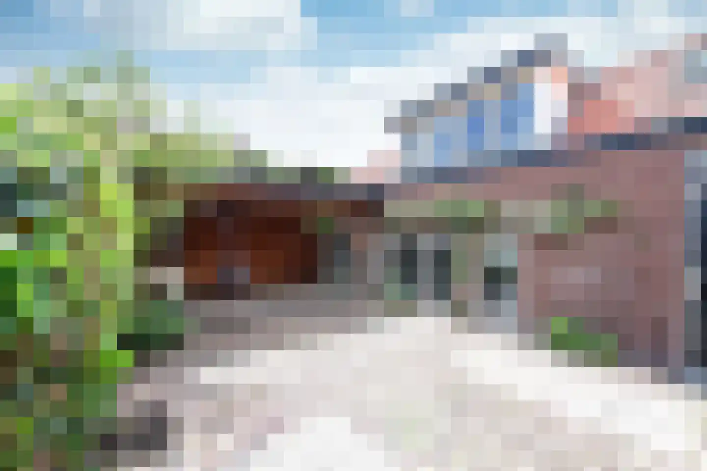 Jagersweg 34 Laren thumbnail 23