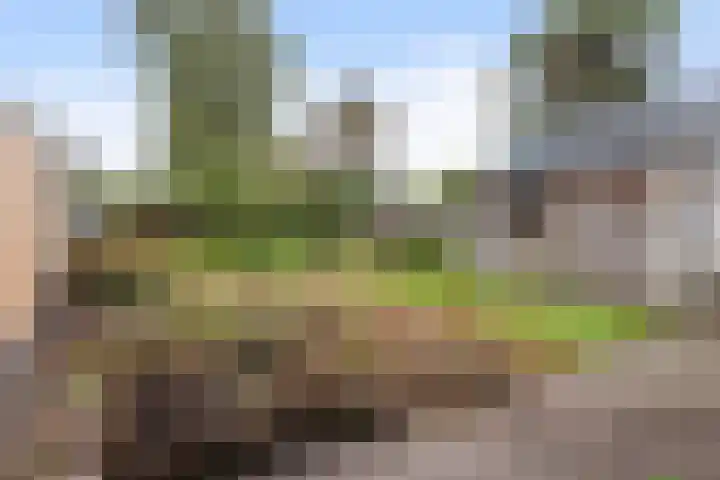 Jagersweg 36 Apeldoorn thumbnail 10