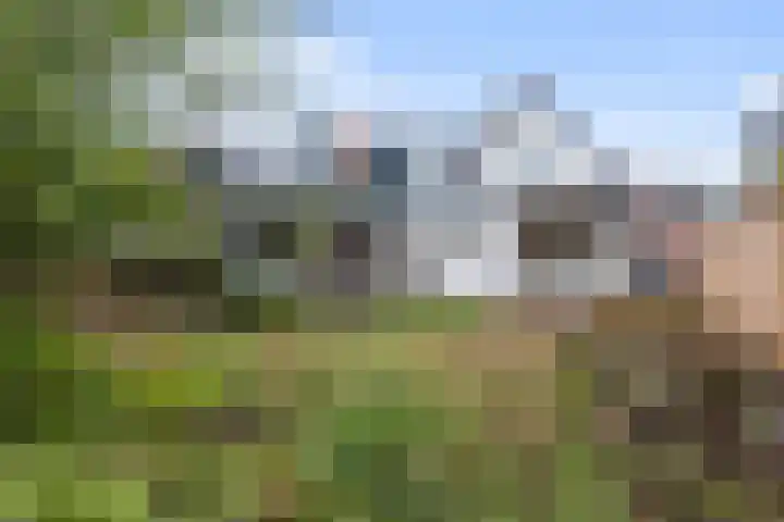 Jagersweg 36 Apeldoorn thumbnail 11