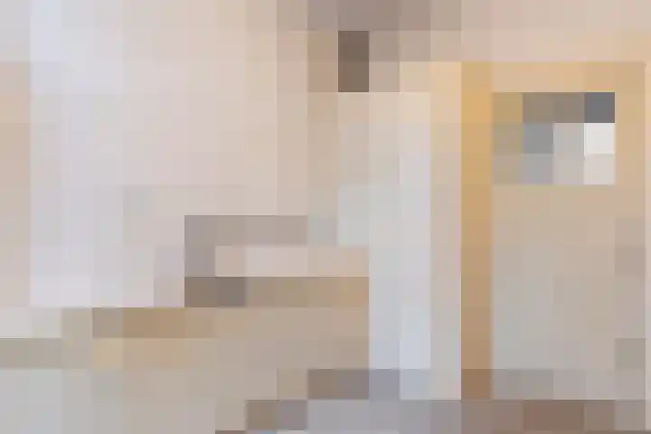 Jagersweg 36 Apeldoorn thumbnail 16