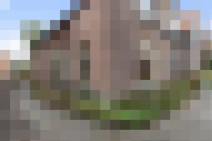 Jagersweg 36 Apeldoorn thumbnail 29