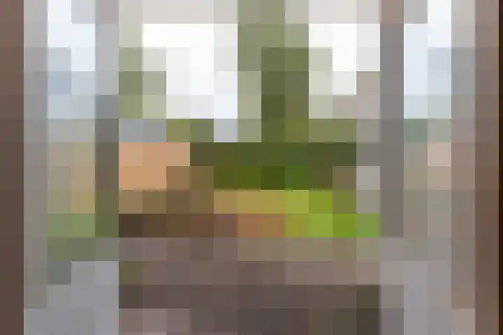 Jagersweg 36 Apeldoorn thumbnail 8