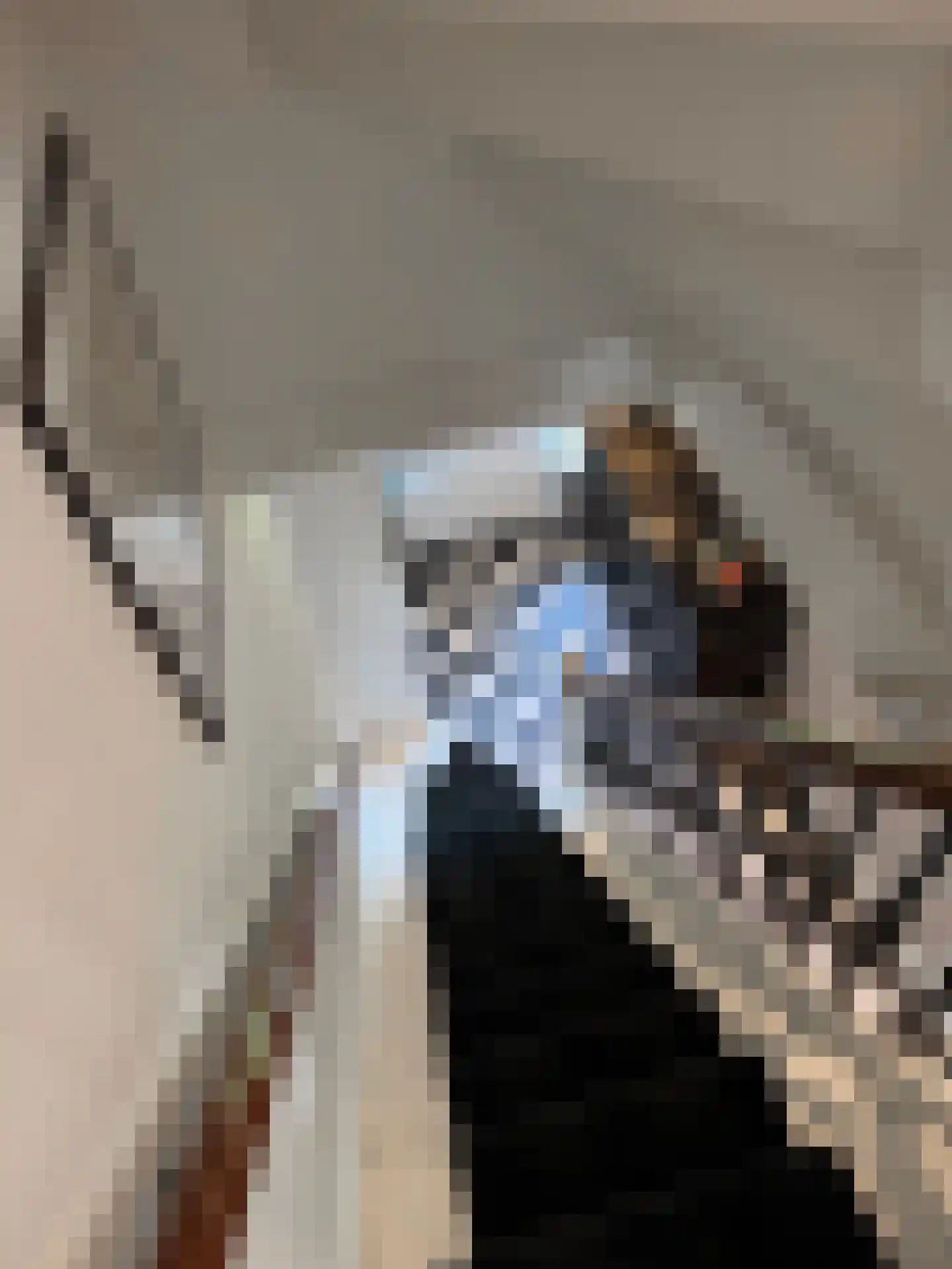 Jagersweg 4 Laren thumbnail 34