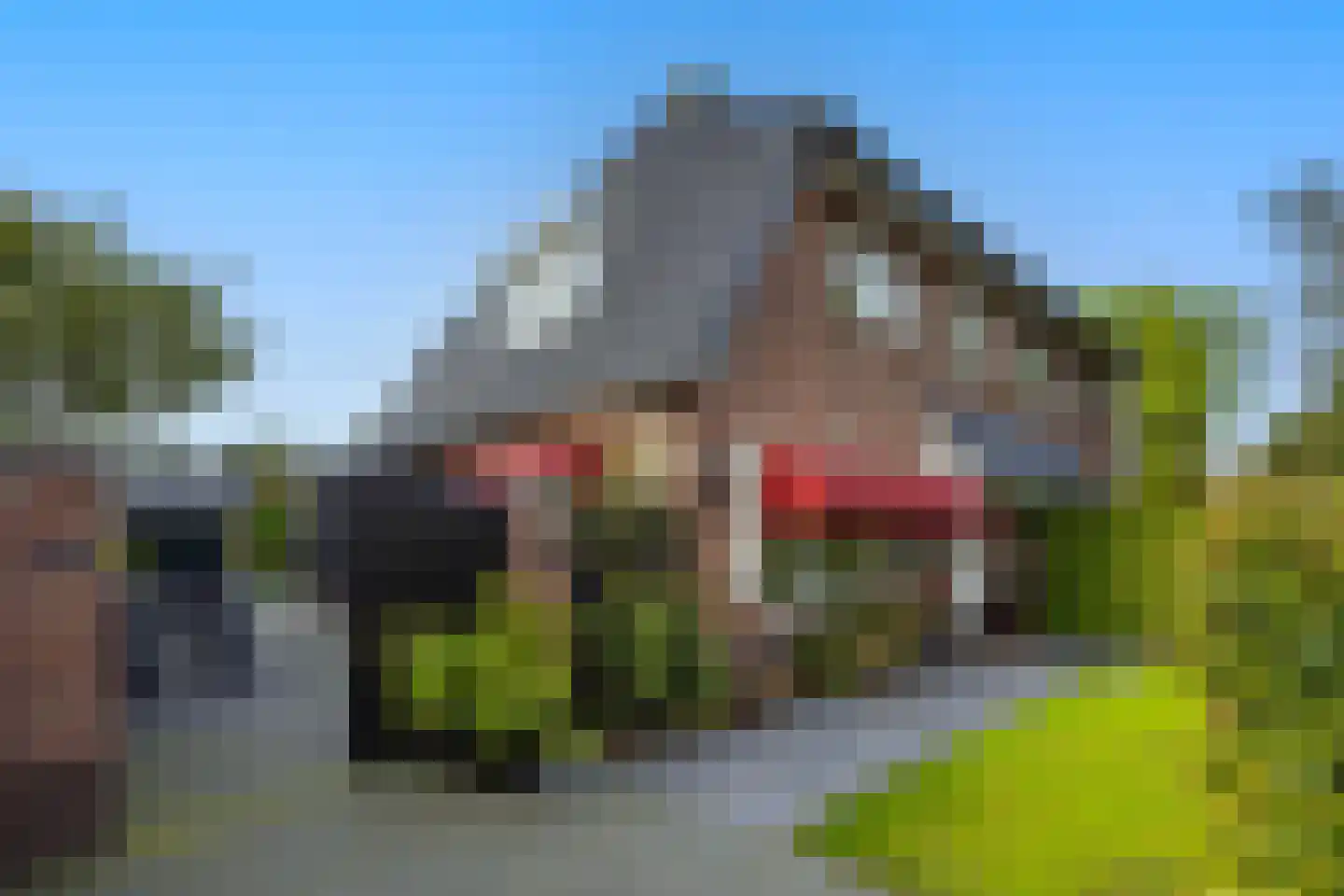 Jagersweg 4 Laren thumbnail 44