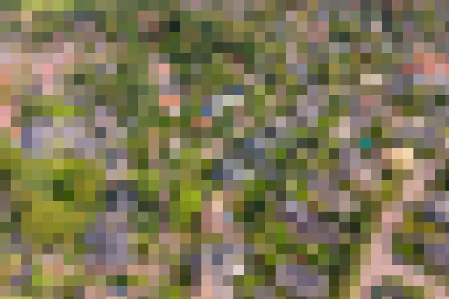 Jagersweg 4 Laren thumbnail 45