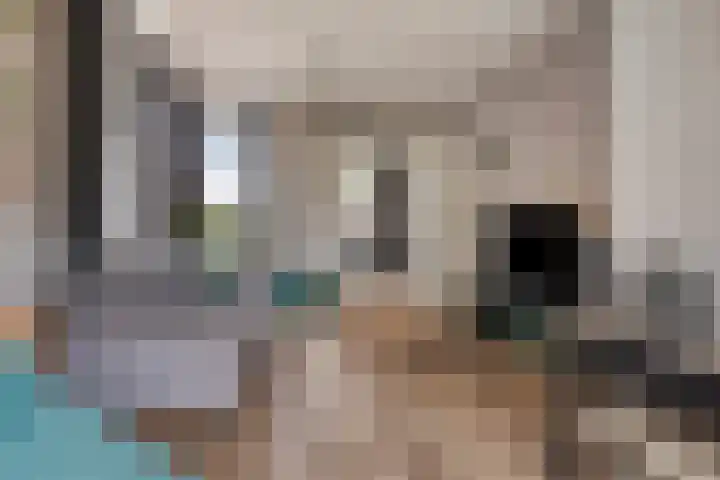 Jagersweg 42 Apeldoorn thumbnail 11