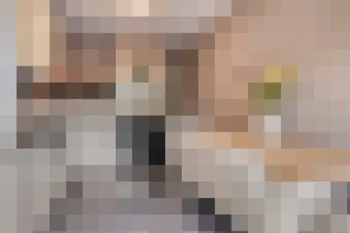 Jagersweg 42 Apeldoorn thumbnail 12