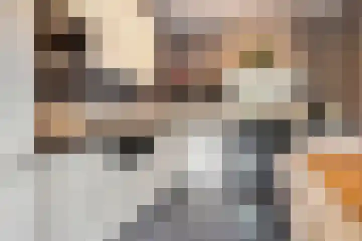 Jagersweg 42 Apeldoorn thumbnail 13