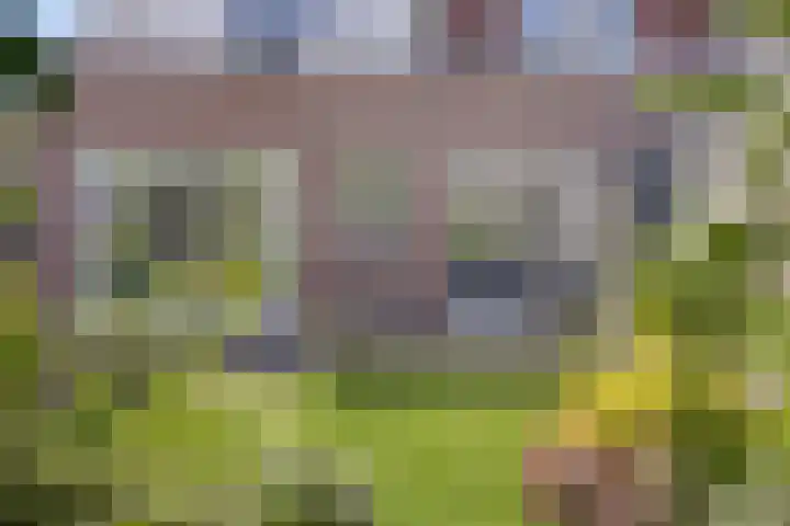 Jagersweg 42 Apeldoorn thumbnail 15