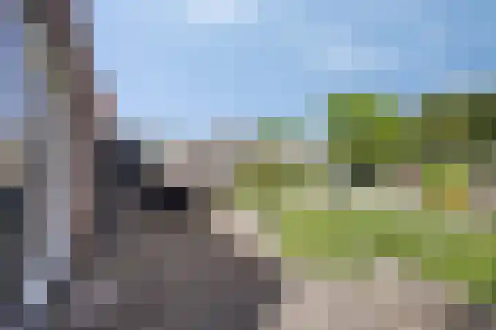 Jagersweg 42 Apeldoorn thumbnail 16