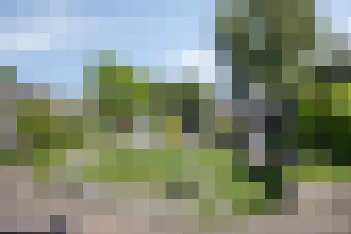 Jagersweg 42 Apeldoorn thumbnail 17
