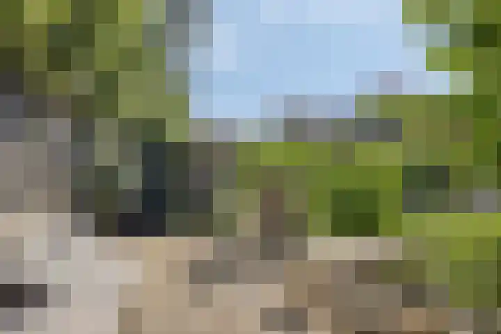 Jagersweg 42 Apeldoorn thumbnail 18