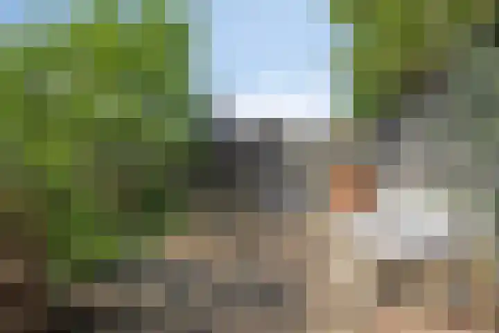 Jagersweg 42 Apeldoorn thumbnail 19