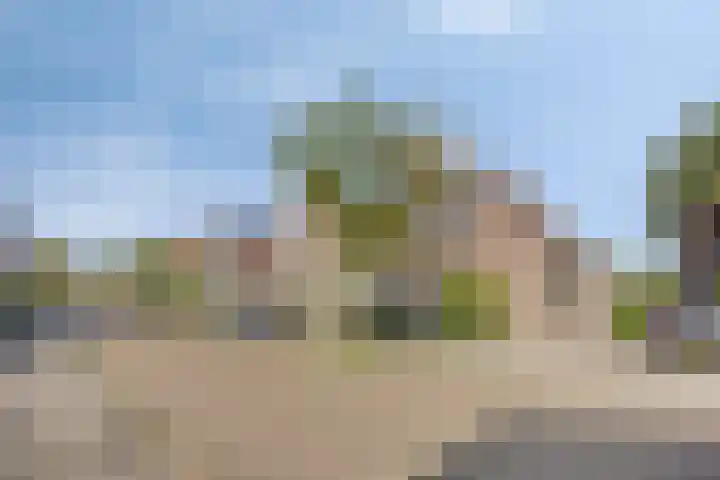 Jagersweg 42 Apeldoorn thumbnail 31