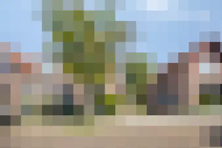 Jagersweg 42 Apeldoorn thumbnail 4
