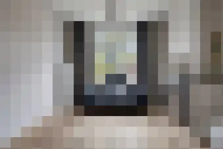 Jagersweg 42 Apeldoorn thumbnail 6