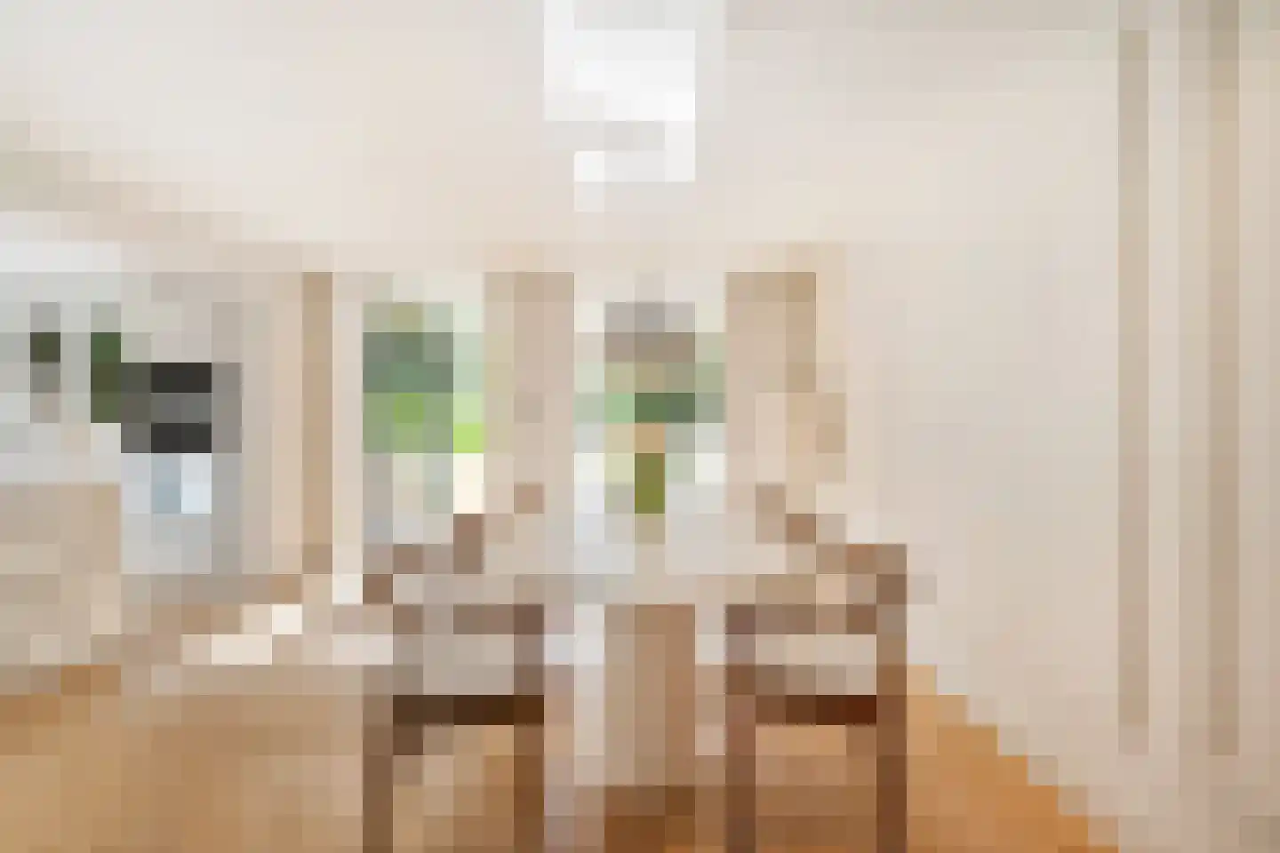 Jagersweg 43 Schoonhoven thumbnail 12