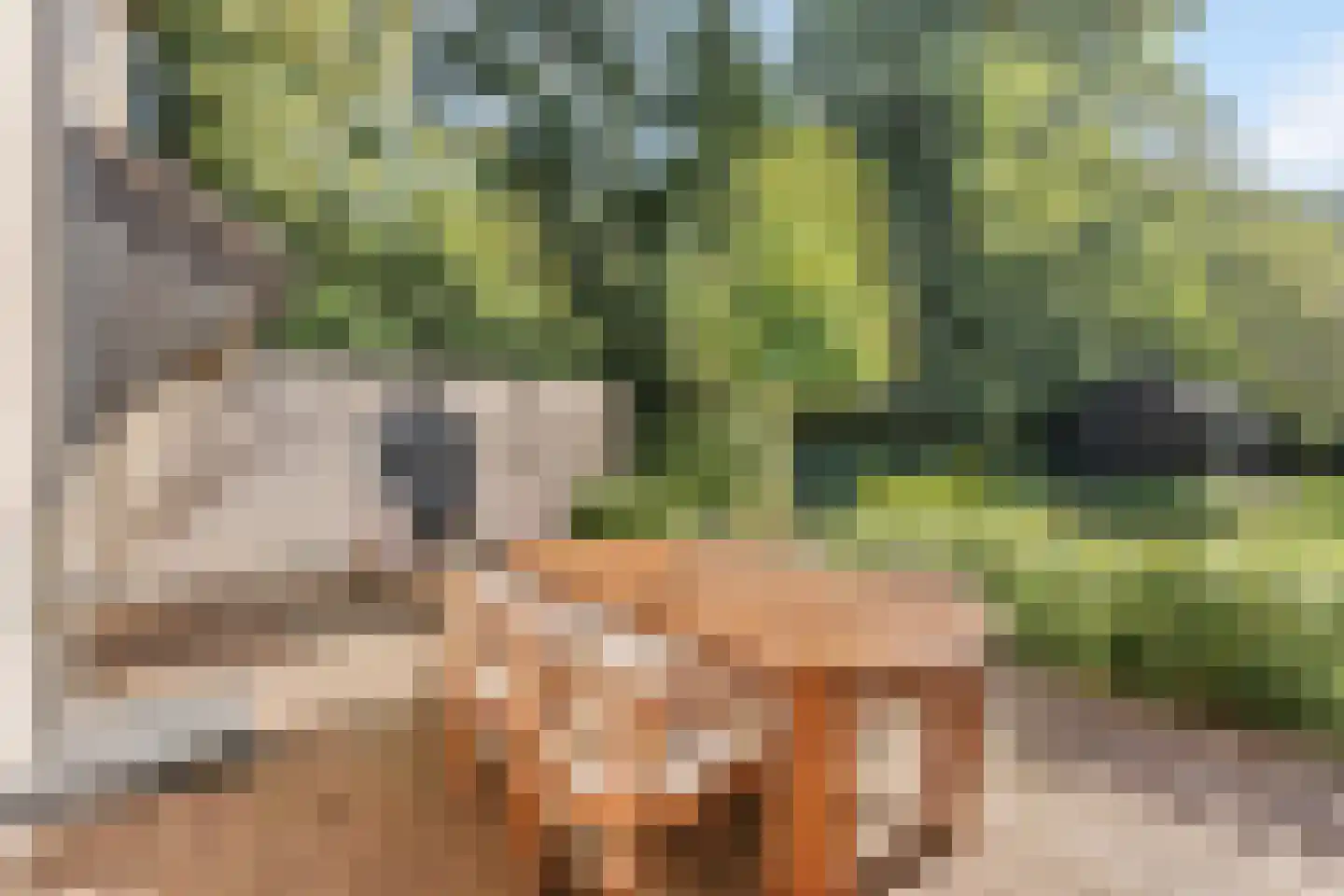 Jagersweg 43 Schoonhoven thumbnail 32