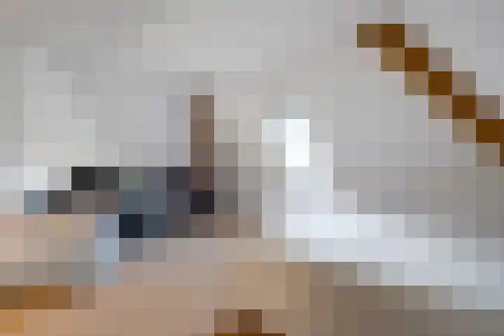 Jagersweg 6 a Enter thumbnail 29