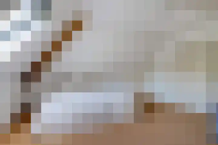 Jagersweg 6 a Enter thumbnail 30