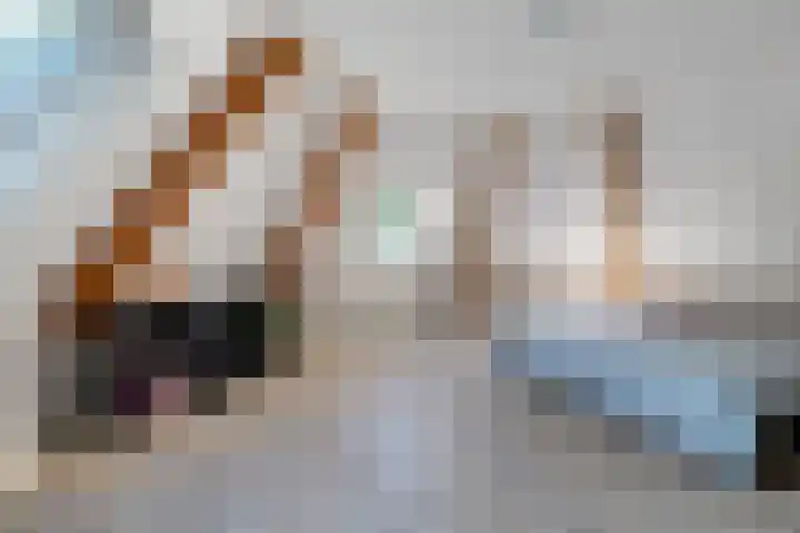 Jagersweg 6 a Enter thumbnail 34