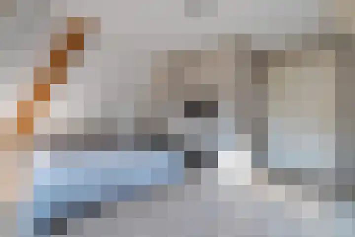 Jagersweg 6 a Enter thumbnail 35