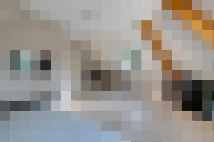 Jagersweg 6 a Enter thumbnail 36