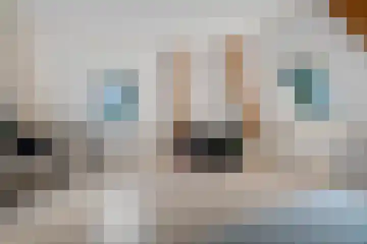 Jagersweg 6 a Enter thumbnail 37