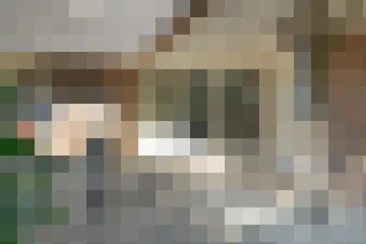 Jagersweg 6 a Enter thumbnail 42