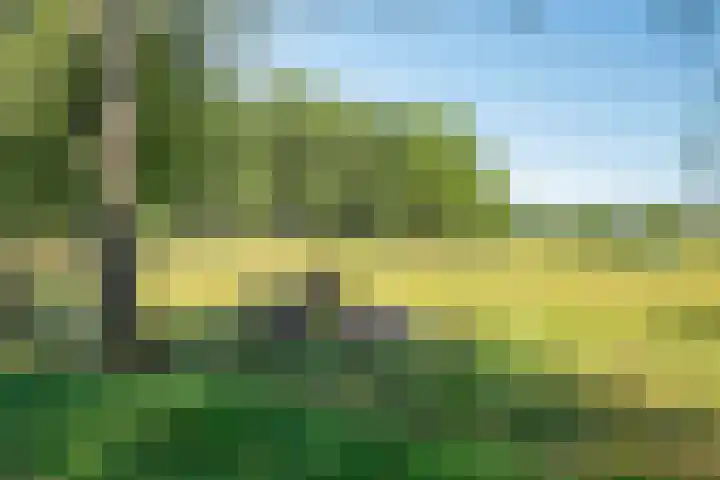 Jagersweg 6 a Enter thumbnail 46