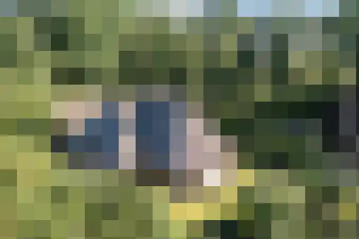 Jagersweg 6 a Enter thumbnail 47